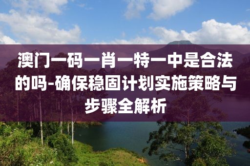 澳门一码一肖一特一中是合法的吗-确保稳固计划实施策略与步骤全解析