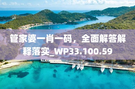 管家婆一肖一码，全面解答解释落实_WP33.100.59