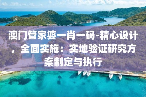 澳门管家婆一肖一码-精心设计，全面实施：实地验证研究方案制定与执行