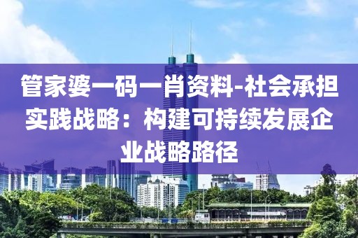 管家婆一码一肖资料-社会承担实践战略：构建可持续发展企业战略路径
