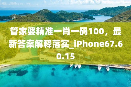 管家婆精准一肖一码100，最新答案解释落实_iPhone67.60.15