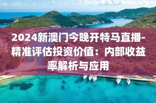 2024新澳门今晚开特马直播-精准评估投资价值：内部收益率解析与应用