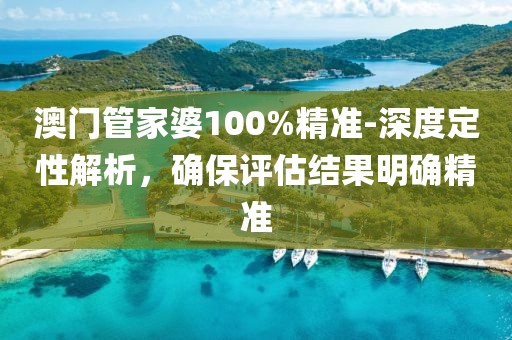 澳门管家婆100%精准-深度定性解析，确保评估结果明确精准