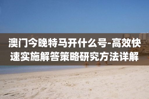 澳门今晚特马开什么号-高效快速实施解答策略研究方法详解