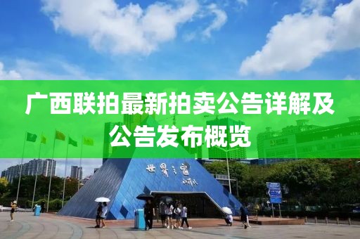 广西联拍最新拍卖公告详解及公告发布概览