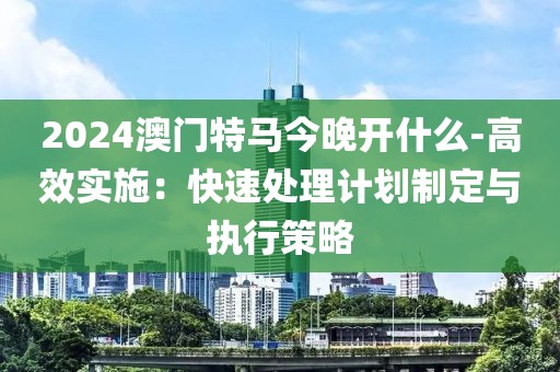 2024澳门特马今晚开什么-高效实施：快速处理计划制定与执行策略