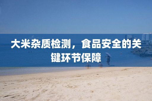 大米杂质检测，食品安全的关键环节保障
