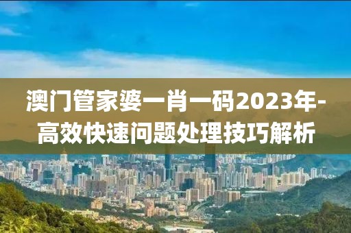 澳门管家婆一肖一码2023年-高效快速问题处理技巧解析