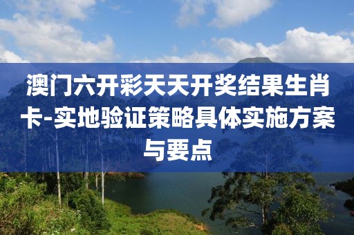 澳门六开彩天天开奖结果生肖卡-实地验证策略具体实施方案与要点