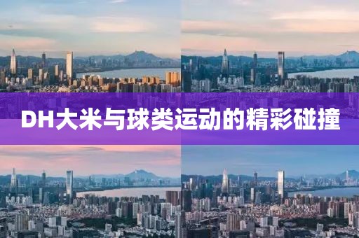 DH大米与球类运动的精彩碰撞