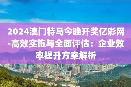 2024澳门特马今晚开奖亿彩网-高效实施与全面评估：企业效率提升方案解析
