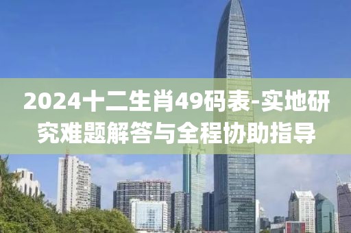 2024十二生肖49码表-实地研究难题解答与全程协助指导