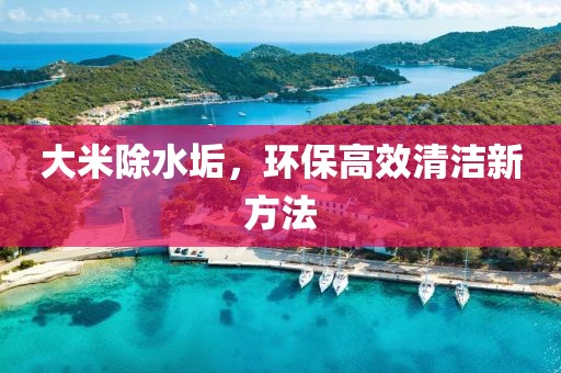 大米除水垢，环保高效清洁新方法