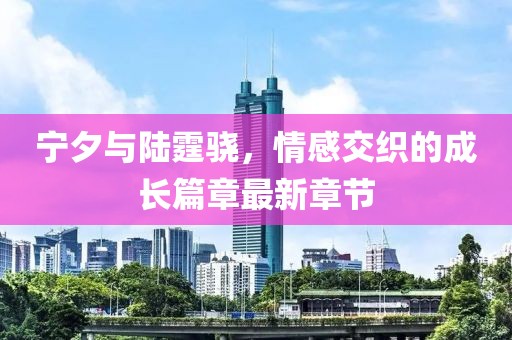宁夕与陆霆骁，情感交织的成长篇章最新章节