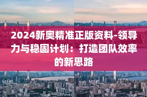 2024新奥精准正版资料-领导力与稳固计划：打造团队效率的新思路