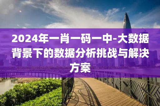 2024年一肖一码一中-大数据背景下的数据分析挑战与解决方案