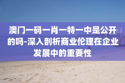 澳门一码一肖一特一中是公开的吗-深入剖析商业伦理在企业发展中的重要性