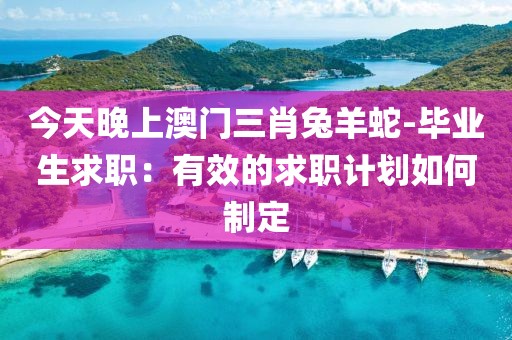 今天晚上澳门三肖兔羊蛇-毕业生求职：有效的求职计划如何制定