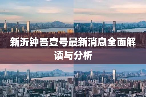 新沂钟吾壹号最新消息全面解读与分析
