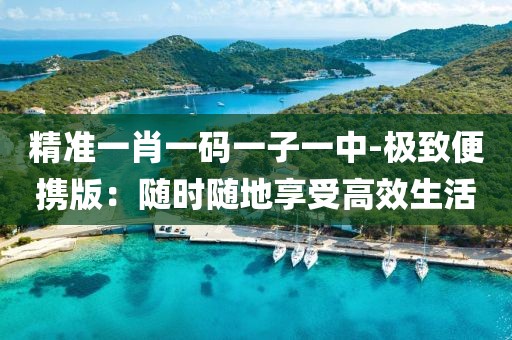 精准一肖一码一子一中-极致便携版：随时随地享受高效生活