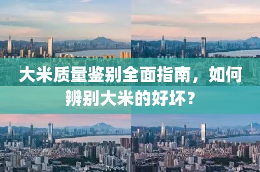 大米质量鉴别全面指南，如何辨别大米的好坏？