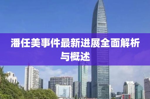 潘任美事件最新进展全面解析与概述