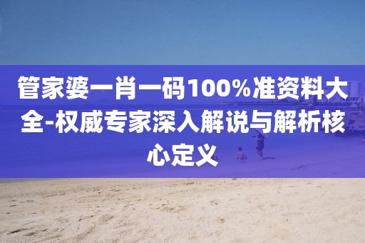 管家婆一肖一码100%准资料大全-权威专家深入解说与解析核心定义