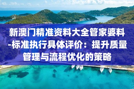 新澳门精准资料大全管家婆料-标准执行具体评价：提升质量管理与流程优化的策略