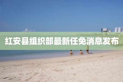 红安县组织部最新任免消息发布