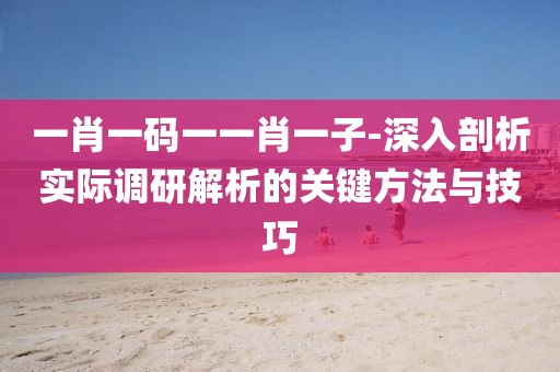 一肖一码一一肖一子-深入剖析实际调研解析的关键方法与技巧