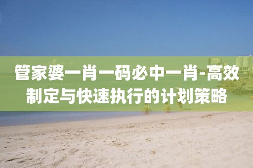 管家婆一肖一码必中一肖-高效制定与快速执行的计划策略