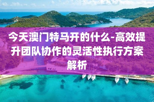 今天澳门特马开的什么-高效提升团队协作的灵活性执行方案解析