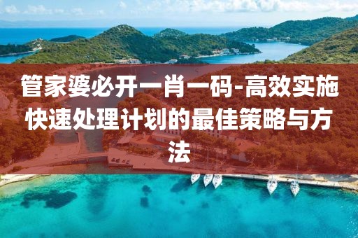 管家婆必开一肖一码-高效实施快速处理计划的最佳策略与方法