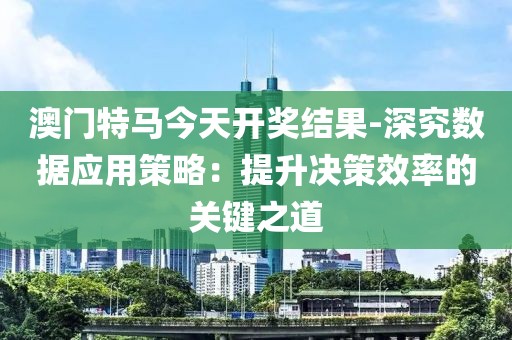 澳门特马今天开奖结果-深究数据应用策略：提升决策效率的关键之道