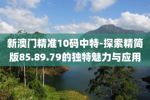 新澳门精准10码中特-探索精简版85.89.79的独特魅力与应用