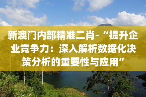 新澳门内部精准二肖-“提升企业竞争力：深入解析数据化决策分析的重要性与应用”