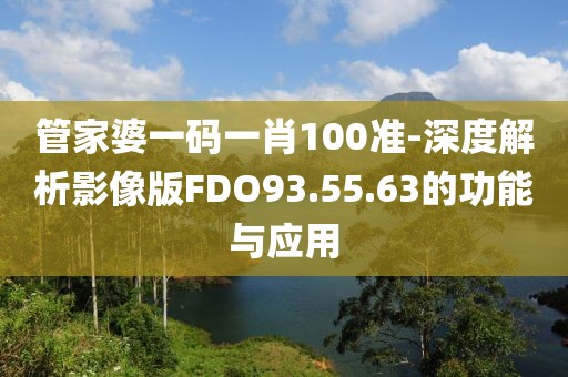 管家婆一码一肖100准-深度解析影像版FDO93.55.63的功能与应用