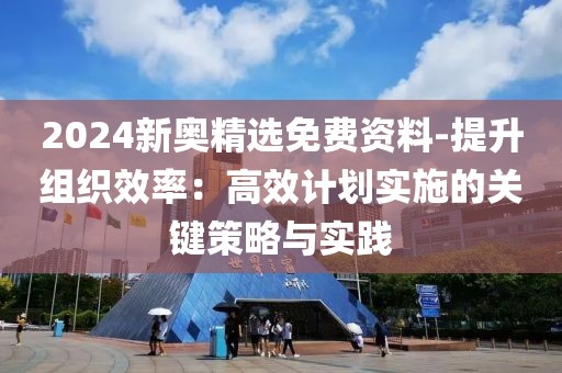 2024新奥精选免费资料-提升组织效率：高效计划实施的关键策略与实践