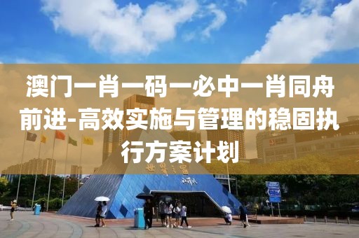 澳门一肖一码一必中一肖同舟前进-高效实施与管理的稳固执行方案计划