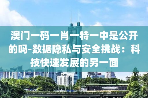 澳门一码一肖一特一中是公开的吗-数据隐私与安全挑战：科技快速发展的另一面