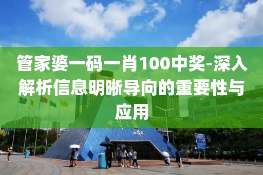 管家婆一码一肖100中奖-深入解析信息明晰导向的重要性与应用