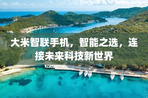 大米智联手机，智能之选，连接未来科技新世界