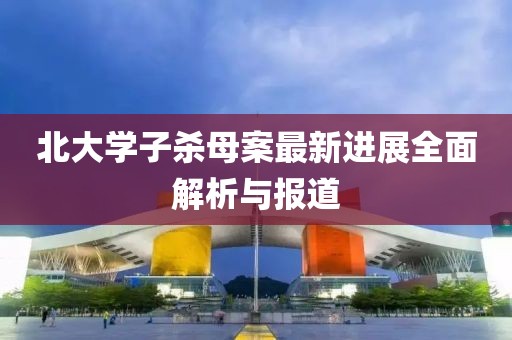 北大学子杀母案最新进展全面解析与报道