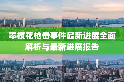 攀枝花枪击事件最新进展全面解析与最新进展报告