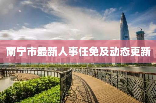 南宁市最新人事任免及动态更新