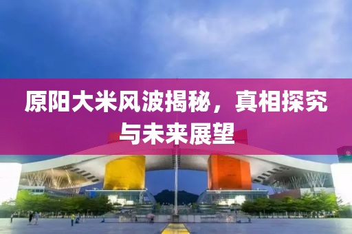 原阳大米风波揭秘，真相探究与未来展望