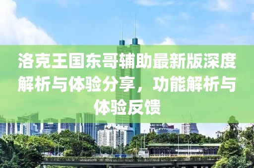洛克王国东哥辅助最新版深度解析与体验分享，功能解析与体验反馈