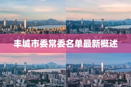 丰城市委常委名单最新概述