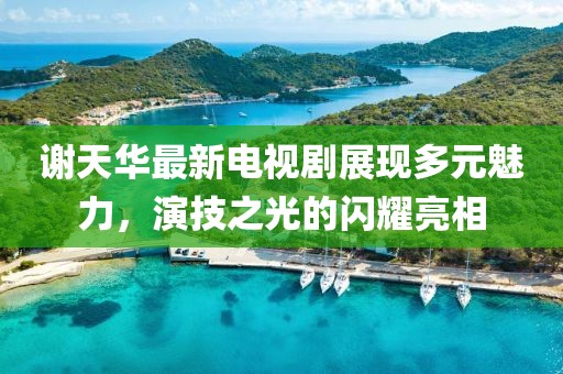谢天华最新电视剧展现多元魅力，演技之光的闪耀亮相