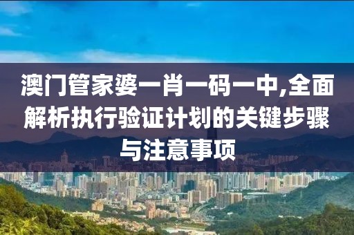 澳门管家婆一肖一码一中,全面解析执行验证计划的关键步骤与注意事项